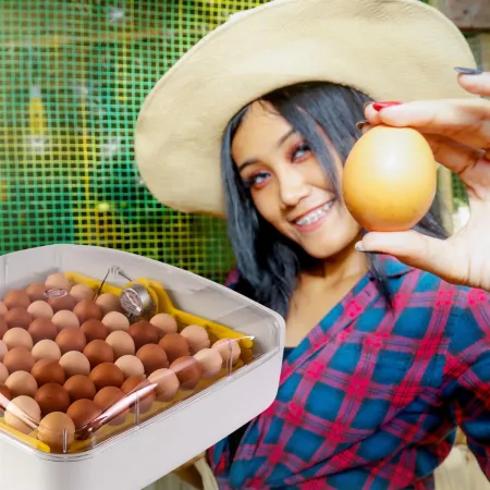 Kruger Meier ProEggora 56 Auto - inkubator z termostatem na 56 jaj-1930136