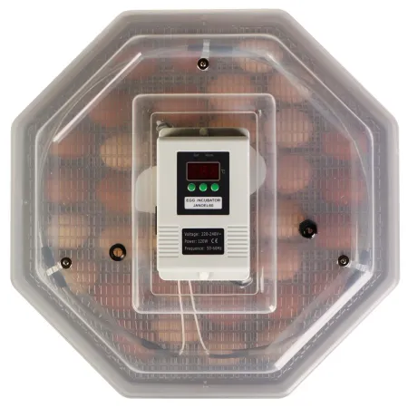 Kruger Meier ProLexor 60 - inkubator z termostatem na 60 jaj-1930144