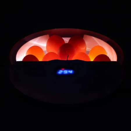 Kruger Meier ProOvula 9 - inkubator z termostatem i LED na 9 jaj-1930176