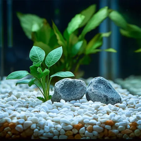 Kruger Meier Ivory Ash Lava 8-16 mm - Żwirek do akwarium 2kg-1931737