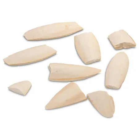 MediSepia Cuttlebone Cracks - sepia w kawałkach-1932304