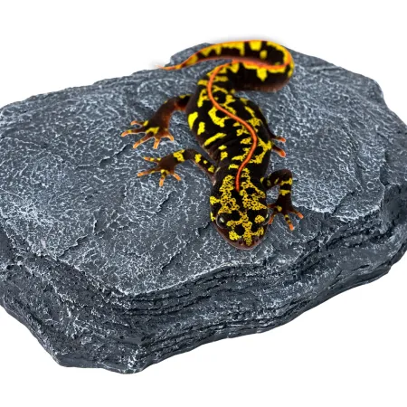 Repti-Zoo Dimmer Heat Rock 12W - kamień grzewczy z regulacją temperatury-1971940