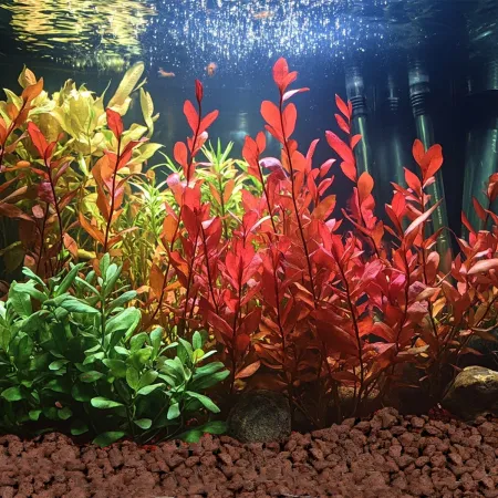 Kruger Meier Crimson Ember Lava 10–20 mm – Lawowe podłoże strukturalne 2 kg-1997037