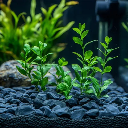 Kruger Meier Onyx Magma Stones 10-20 mm - Żwir do akwarium 2kg-1997109