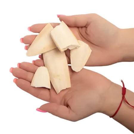 MediSepia Cuttlebone Cracks - sepia w kawałkach-1997352