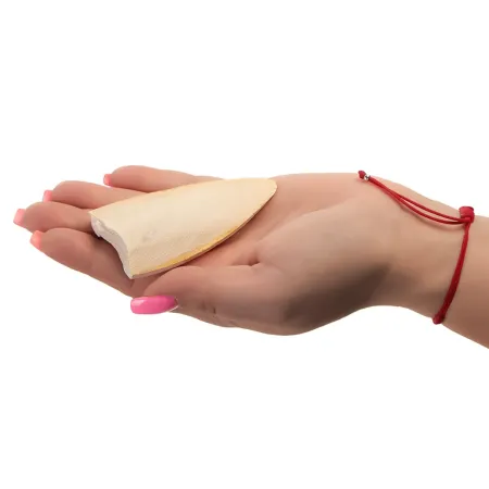 MediSepia Cuttlebone Cracks - sepia w kawałkach-1997355