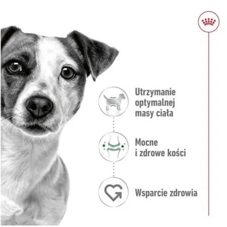 Royal Canin Mini Adult karma sucha dla psów dorosłych, ras małych 4kg-2025843