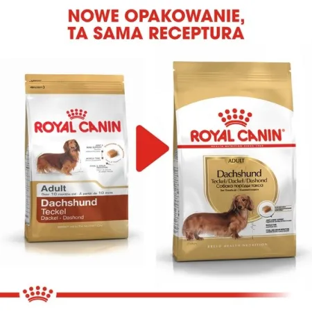 Royal Canin Dachshund Adult karma sucha dla psów dorosłych rasy jamnik 1,5kg-2025882