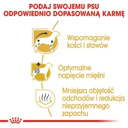 Royal Canin Dachshund Adult karma sucha dla psów dorosłych rasy jamnik 1,5kg-2025884