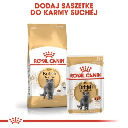 Royal Canin British Shorthair Adult karma sucha dla kotów dorosłych rasy brytyjski krótkowłosy 2kg-2026063