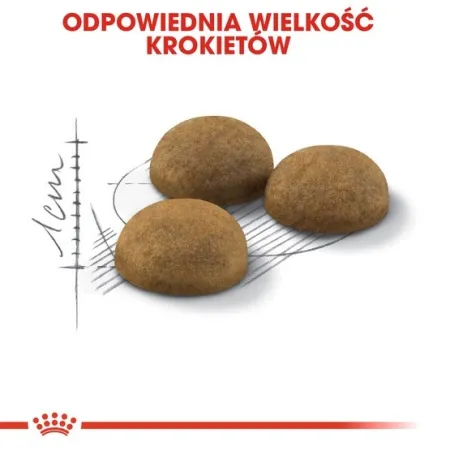 Royal Canin Indoor Long Hair karma sucha dla kotów dorosłych, długowłose, przebywających wyłącznie w domu 400g-20