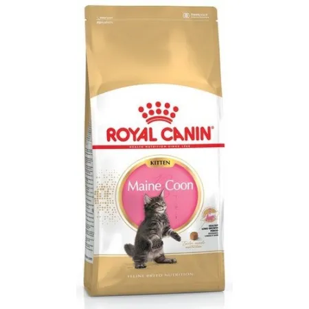 Royal Canin Maine Coon Kitten karma sucha dla kociąt, do 15 miesiąca, rasy maine coon 4kg-2026122