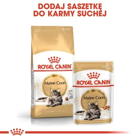 Royal Canin Maine Coon Adult karma sucha dla kotów dorosłych rasy maine coon 400g-2026131