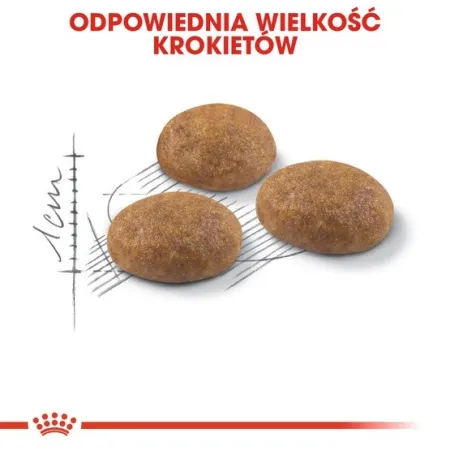 Royal Canin Outdoor karma sucha dla kotów dorosłych, wychodzących na zewnątrz 2kg-2026147