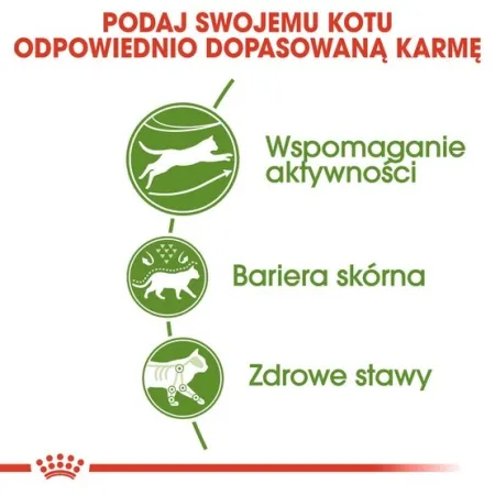 Royal Canin Outdoor karma sucha dla kotów dorosłych, wychodzących na zewnątrz 400g-2026152