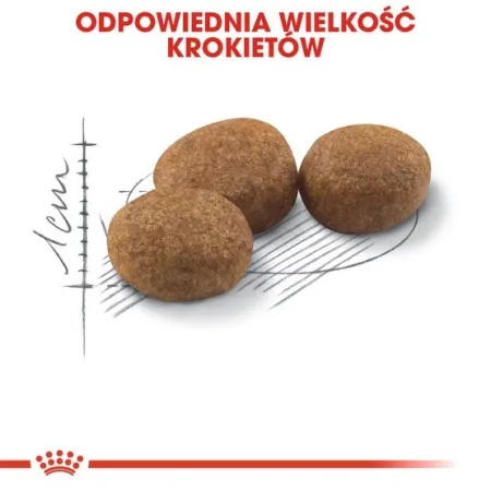 Royal Canin Sterilised karma sucha dla kotów dorosłych, sterylizowanych 10kg-2026183