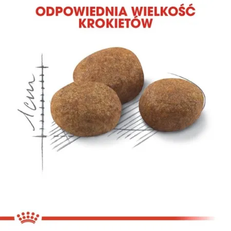 Royal Canin Sterilised 7+ karma sucha dla kotów dorosłych, od 7 do 12 roku życia, sterylizowanych 400g-2026466