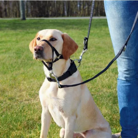 Trixie Uprząż Top Trainer M/2 27cm [TX-13003]-2026595