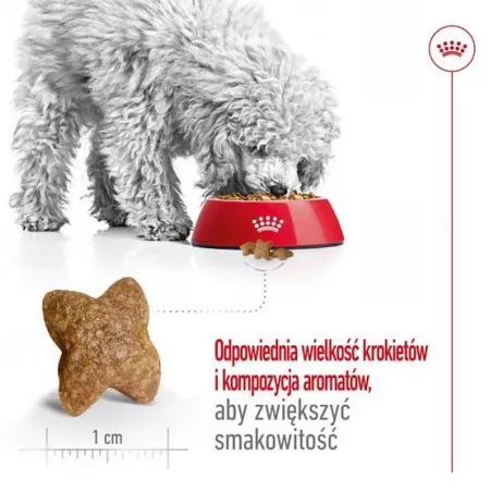 Royal Canin Mini Adult karma sucha dla psów dorosłych, ras małych 0,8kg-2026684