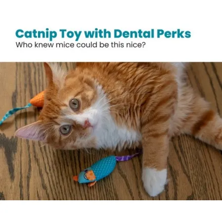 Petstages Myszki bliźniaczki z kocimiętką PS327-2026832