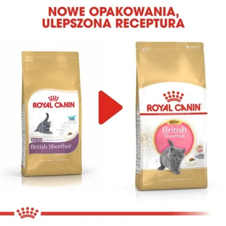 Royal Canin British Shorthair Kitten karma sucha dla kociąt, do 12 miesiąca, rasy brytyjski krótkowłosy 400g-2027495