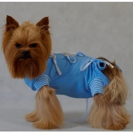 Grande Finale Koszulka pooperacyjna rozmiar 3 / 36cm niebieska [WET1]-2027795