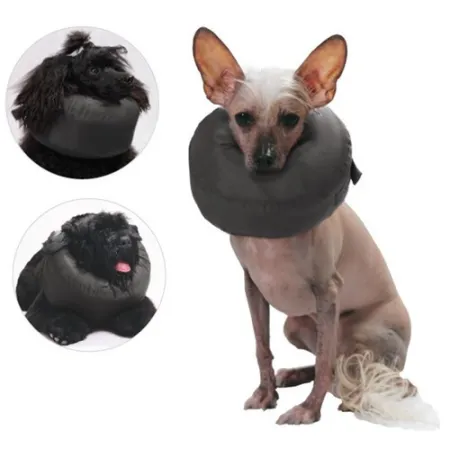 Grande Finale Kołnierz pooperacyjny rozmiar 2 [WET/K/2]-2027798