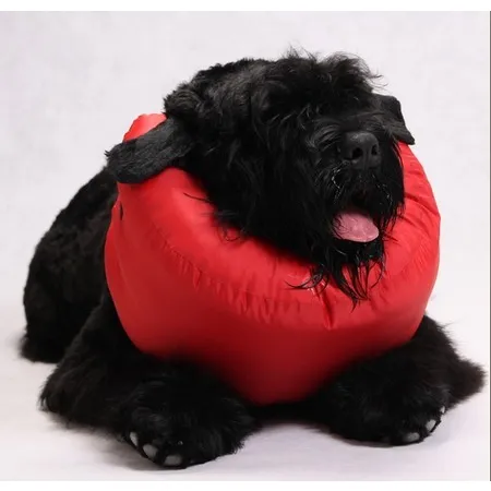 Grande Finale Kołnierz pooperacyjny rozmiar 5 [WET/K/5]-2027808