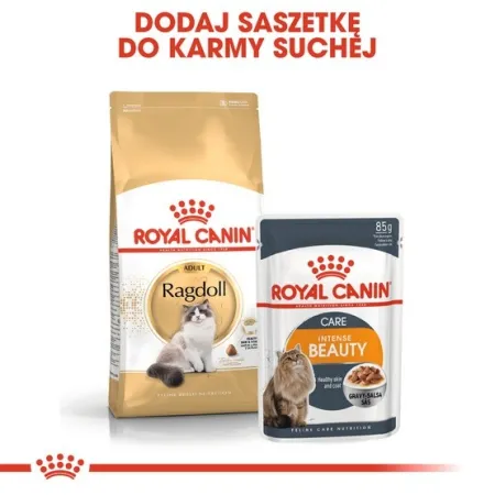 Royal Canin Ragdoll Adult karma sucha dla kotów dorosłych rasy ragdoll 2kg-2028128