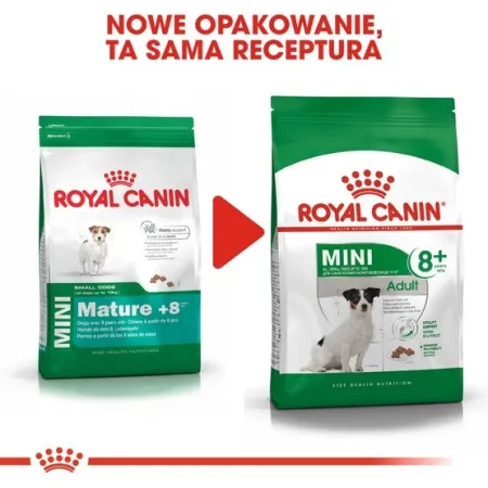 Royal Canin Mini Adult 8+ karma sucha dla psów starszych od 8 do 12 roku życia, ras małych 800g-2028161
