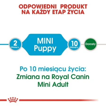 Royal Canin Mini Puppy karma sucha dla szczeniąt, od 2 do 10 miesiąca życia, ras małych 800g-2028168