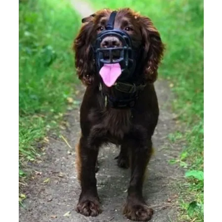 Baskerville Kaganiec Ultra-6 czarny-2028205