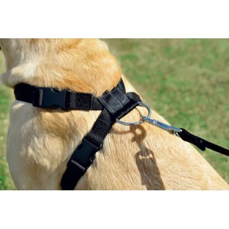 Zolux Smycz do samochodu dla psów [403340]-2028390