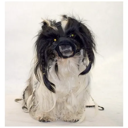 Grande Finale Kaganiec dla psa pekińczyk rozmiar 4 (22-30cm)-2028554