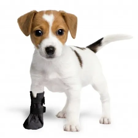 Grande Finale But Softshell na chorą łapę r.5 - 10cm czarny-2028571