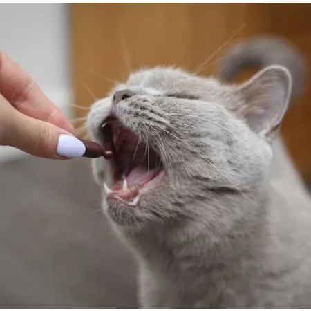 UrinoVet Cat 45 tabletek-2028578