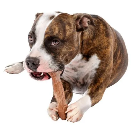 Ferplast GoodBite Natural SinglePack Wołowina 1szt M 70g-2028821