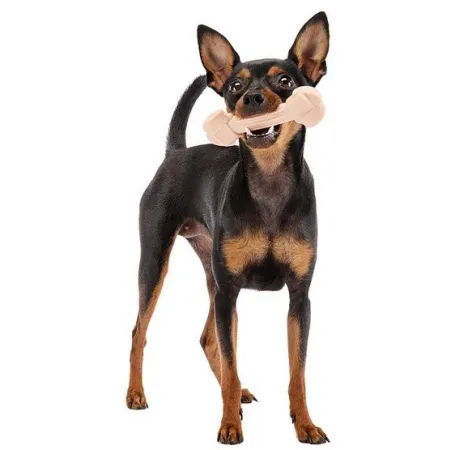 Ferplast GoodBite Natural SinglePack Szynka 1szt M 70g-2028826