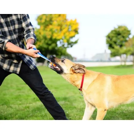 Chuckit! Ultra Tug Large [231301]-2029035