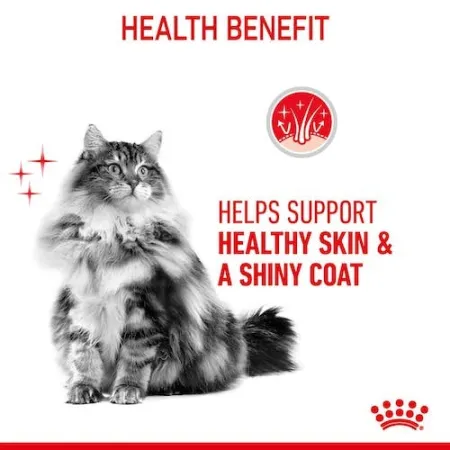 Royal Canin Hair&Skin Care karma sucha dla kotów dorosłych, lśniąca sierść i zdrowa skóra 400g-2029090