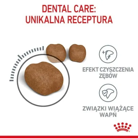Royal Canin Dental Care karma sucha dla kotów dorosłych, redukująca odkładanie kamienia nazębnego 1,5kg-2029163