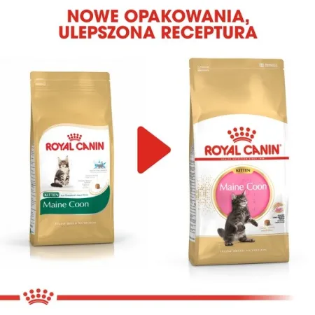 Royal Canin Maine Coon Kitten karma sucha dla kociąt, do 15 miesiąca, rasy maine coon 2kg-2029313