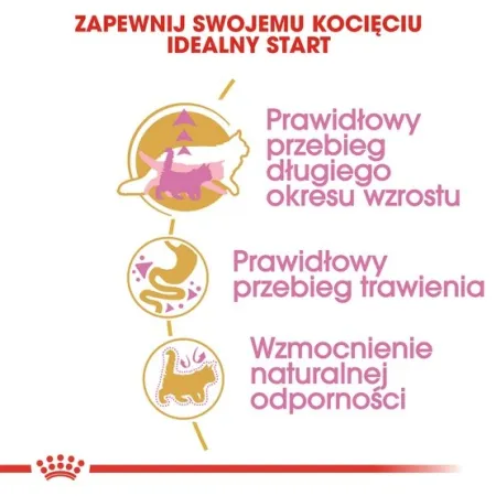 Royal Canin Maine Coon Kitten karma sucha dla kociąt, do 15 miesiąca, rasy maine coon 2kg-2029315