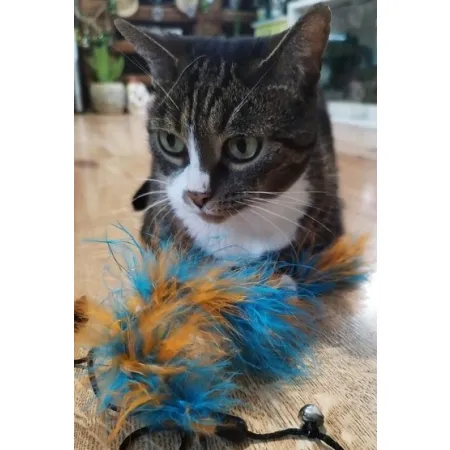 Dingo Wędka dla kota - ogonek z piór niebiesko-pomarańczowy-2029529