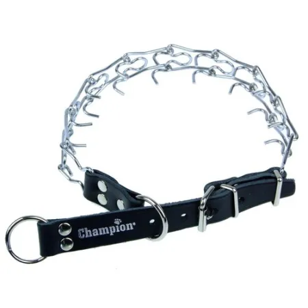 Champion Kolczatka [2 RYM]-2029903