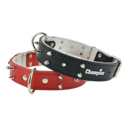 Champion Obroża Skórzana zdobiona [ZD 60/3,5 KOL]-2029908