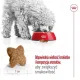 Royal Canin Mini Adult karma sucha dla psów dorosłych, ras małych 4kg-2025845