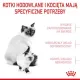Royal Canin Mother&Babycat karma sucha dla kotek w okresie ciąży, laktacji i kociąt od 1 do 4 miesiąca 2kg-2026040