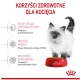 Royal Canin Kitten karma sucha dla kociąt od 4 do 12 miesiąca życia 4kg-2026108