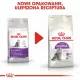 Royal Canin Sensible karma sucha dla kotów dorosłych, o wrażliwym przewodzie pokarmowym 400g-2026196